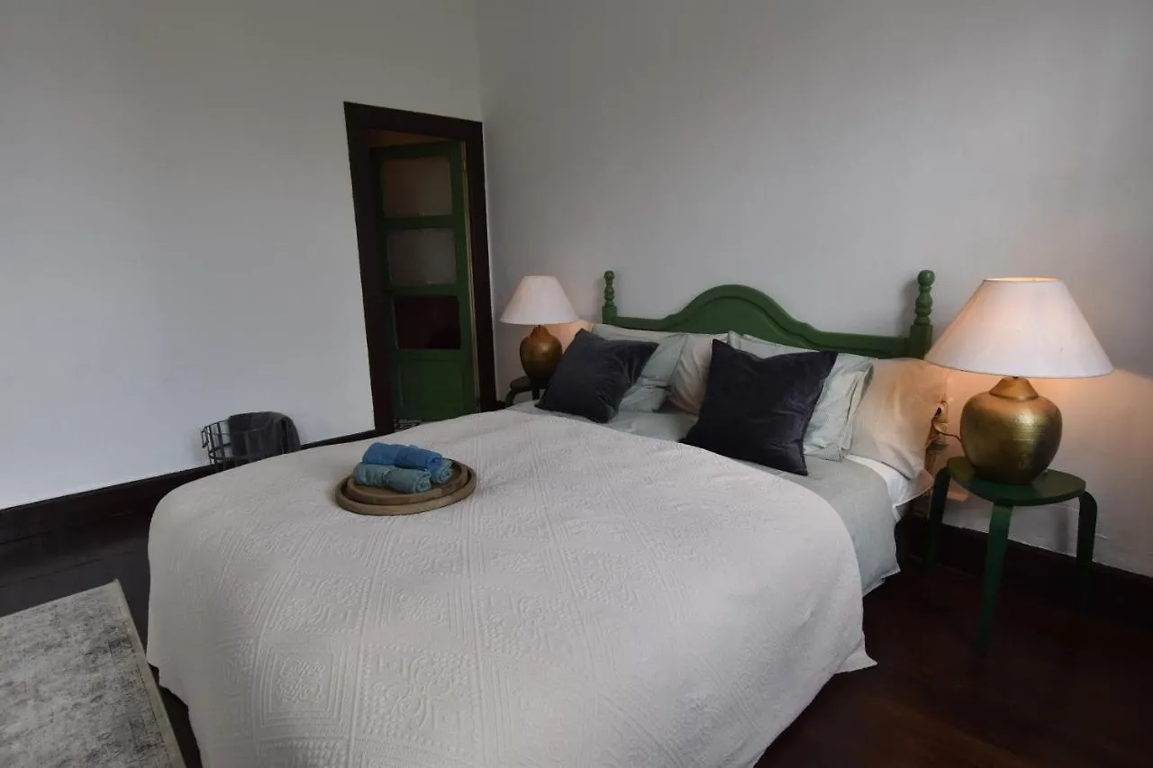 Guest house Gato Azul - Coliving Hotel La Orotava