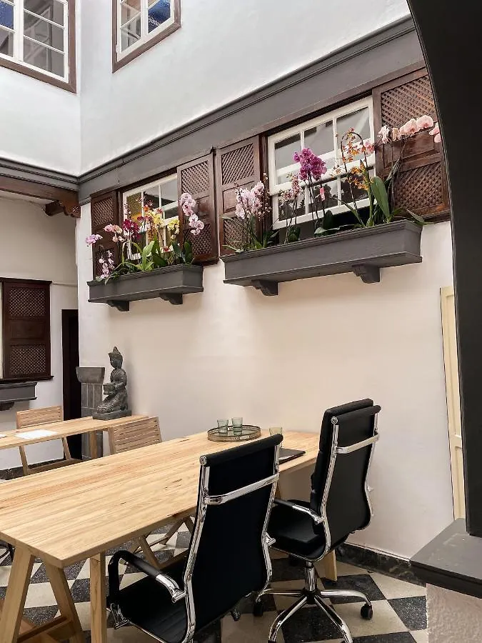 Gato Azul - Coliving Hotel La Orotava Guest house