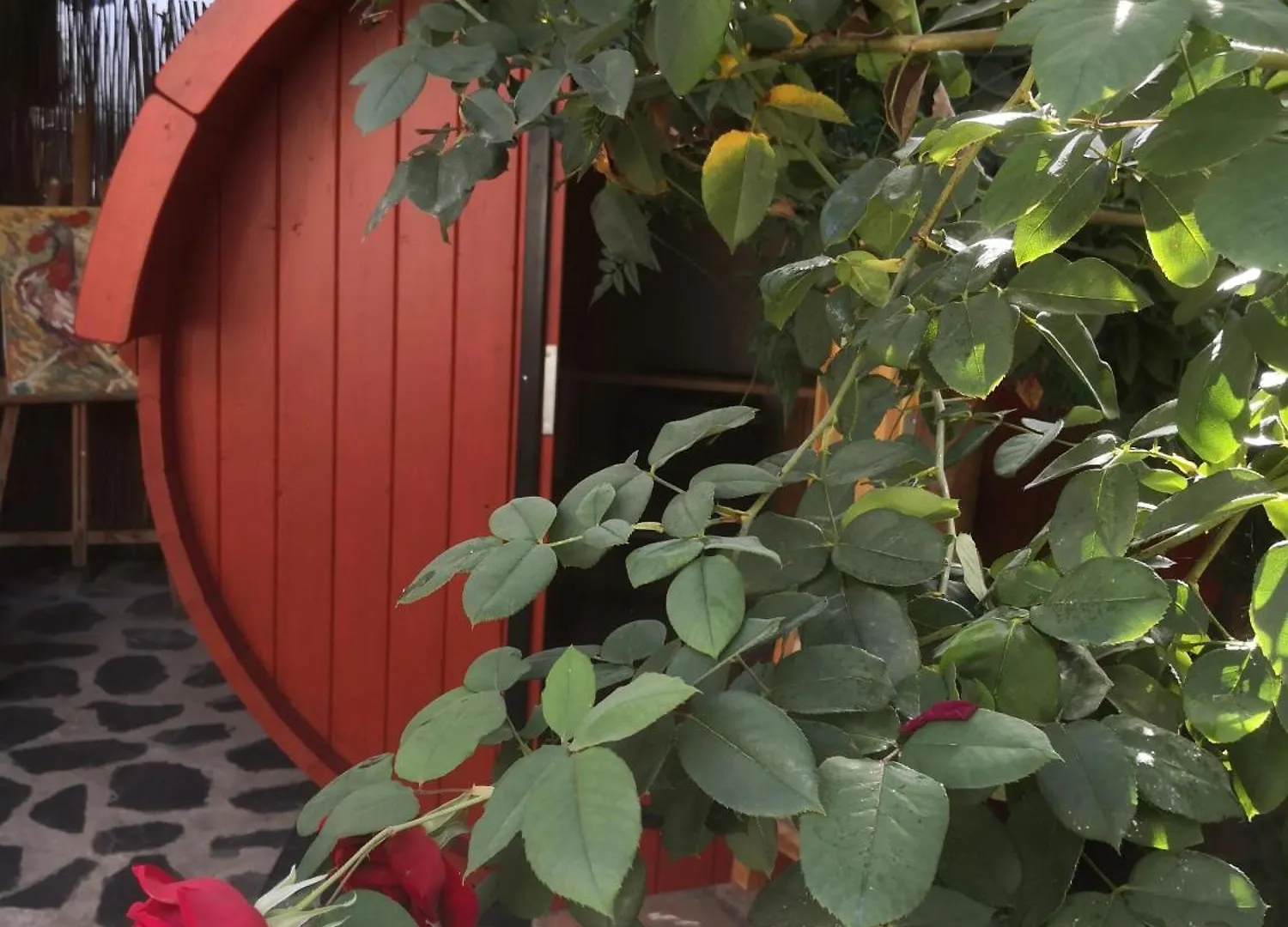 Gato Azul - Coliving Hotel La Orotava Spain