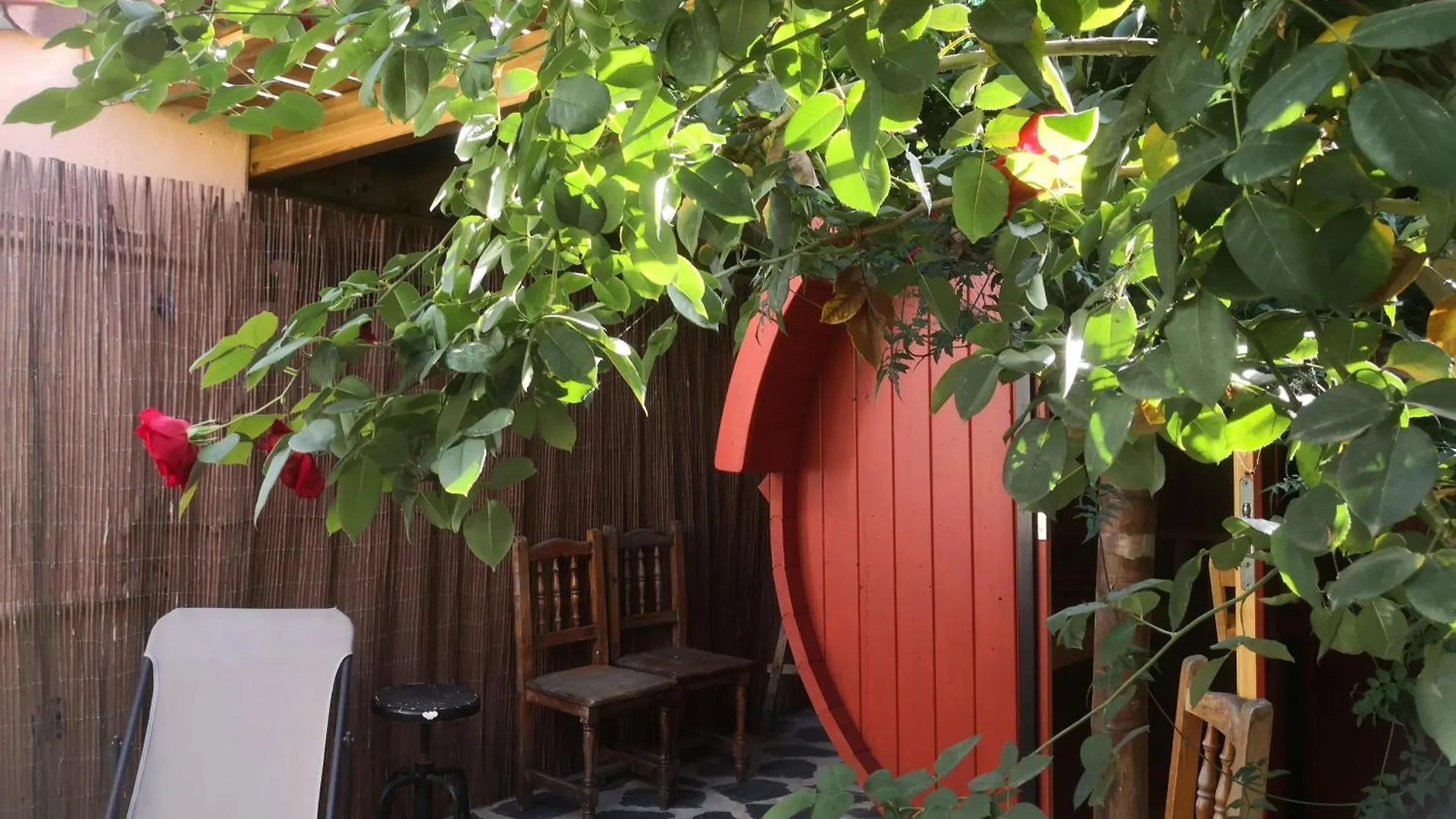 Gato Azul - Coliving Hotel La Orotava 0*,  Spain